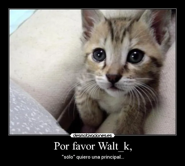 Gato triste llorando - Imagui