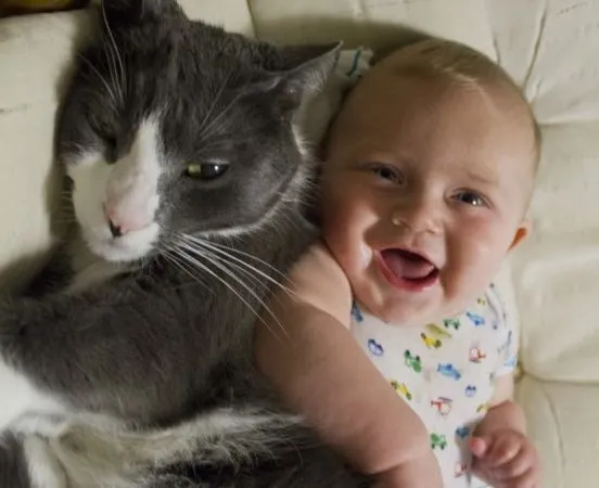 Cómo gatos y perros mejoran la salud de los bebés | EROSKI CONSUMER