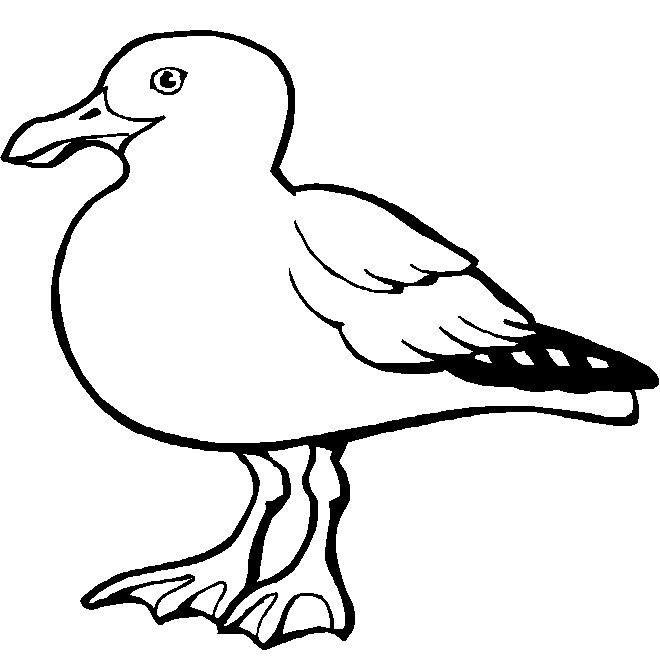 Dibujo de una gaviota para colorear - Imagui