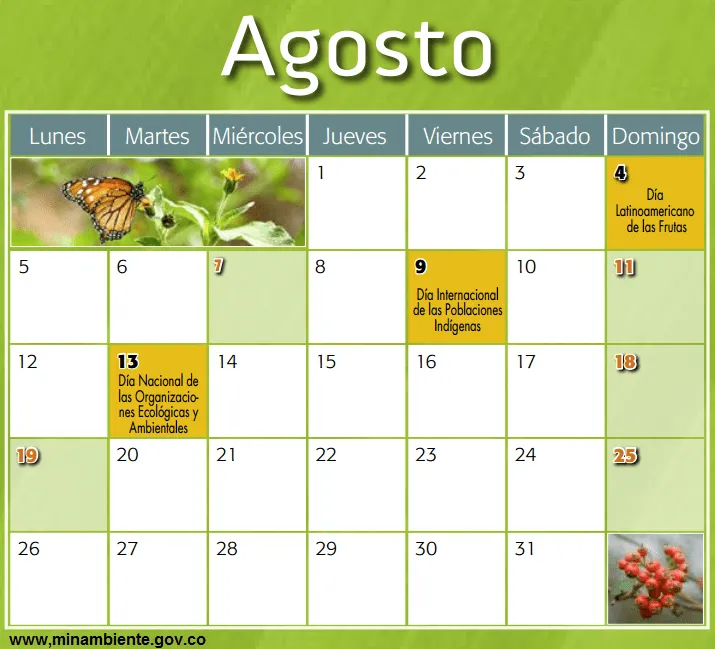 Gestión Ambiental Territorial: Calendario ambiental Agosto 2013