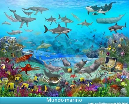 peces y otros animales marinos - Currículum en línea. MINEDUC ...