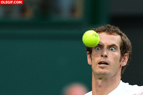 GIF: La cara de Andy Murray antes del pelotazo (Gif #1100)
