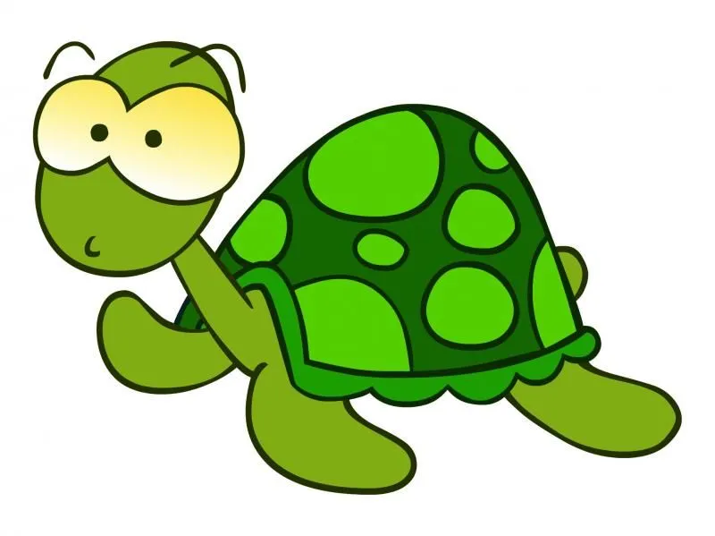 Una tortuga animada - Imagui