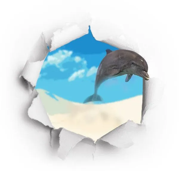 Fotos animadas de delfines - Imagui