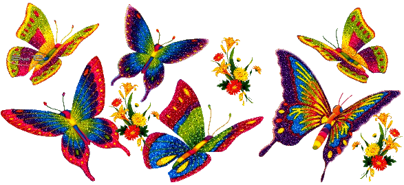 13 investigadores: Nuevo proyecto: Las mariposas