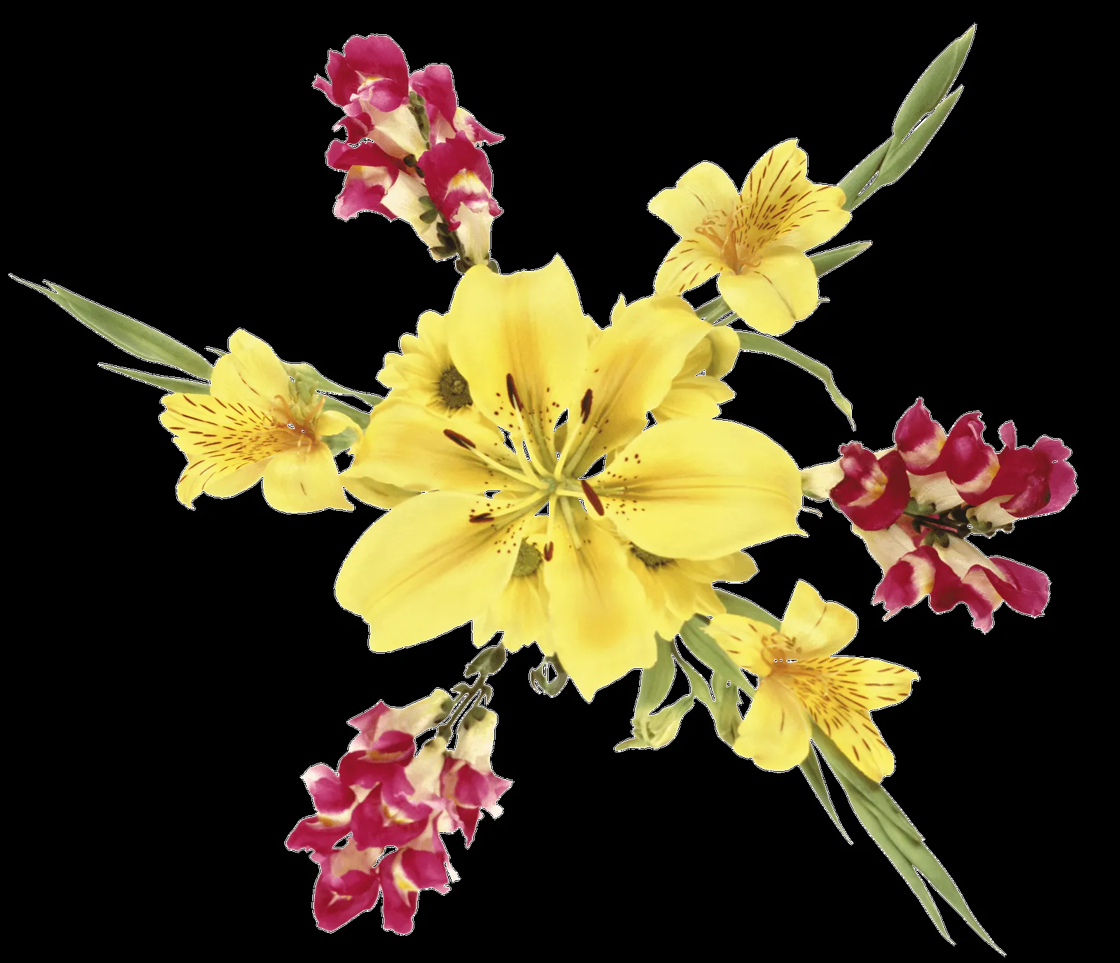 Gifs y Fondos PazenlaTormenta: IMÁGENES DE FLORES GRANDES EN PNG Gifs y Fondos PazenlaTormenta: IMÁGENES DE FLORES GRANDES EN PNG