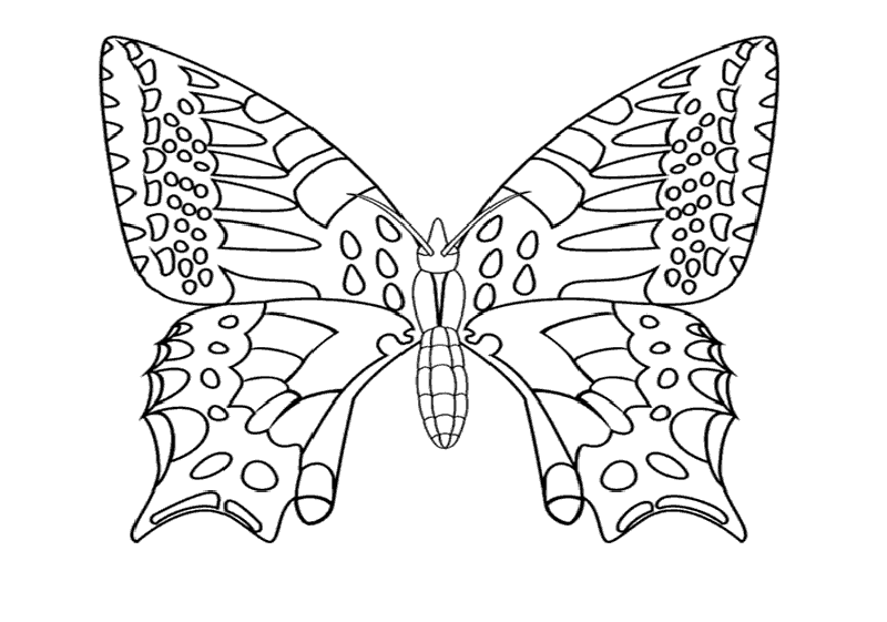 Plantillas colorear mariposas - Imagui