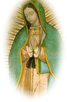 Gifs y Fondos PazenlaTormenta: VIRGEN DE GUADALUPE 2 Gifs y Fondos PazenlaTormenta: VIRGEN DE GUADALUPE 2