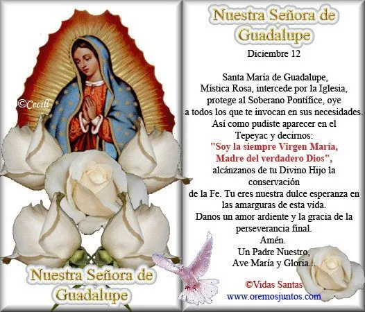Gifs de oraciones Oraciones a la Virgen de Guadalupe | Fe mexicana ...