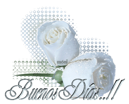 Gifs rosas blancas - Imagui