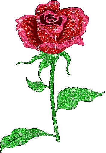 gifs de rosas con brillos para San Valentín | 14 de febrero