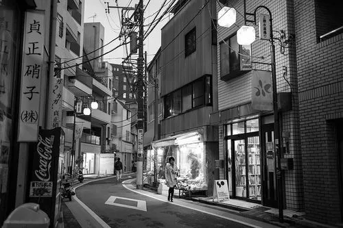 Ser golondrina | Japón en blanco y negro