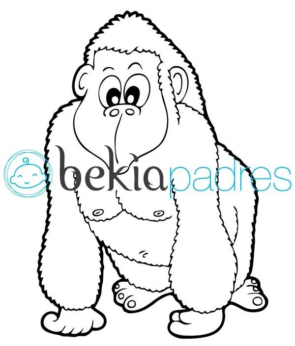 Gorila: dibujo para colorear