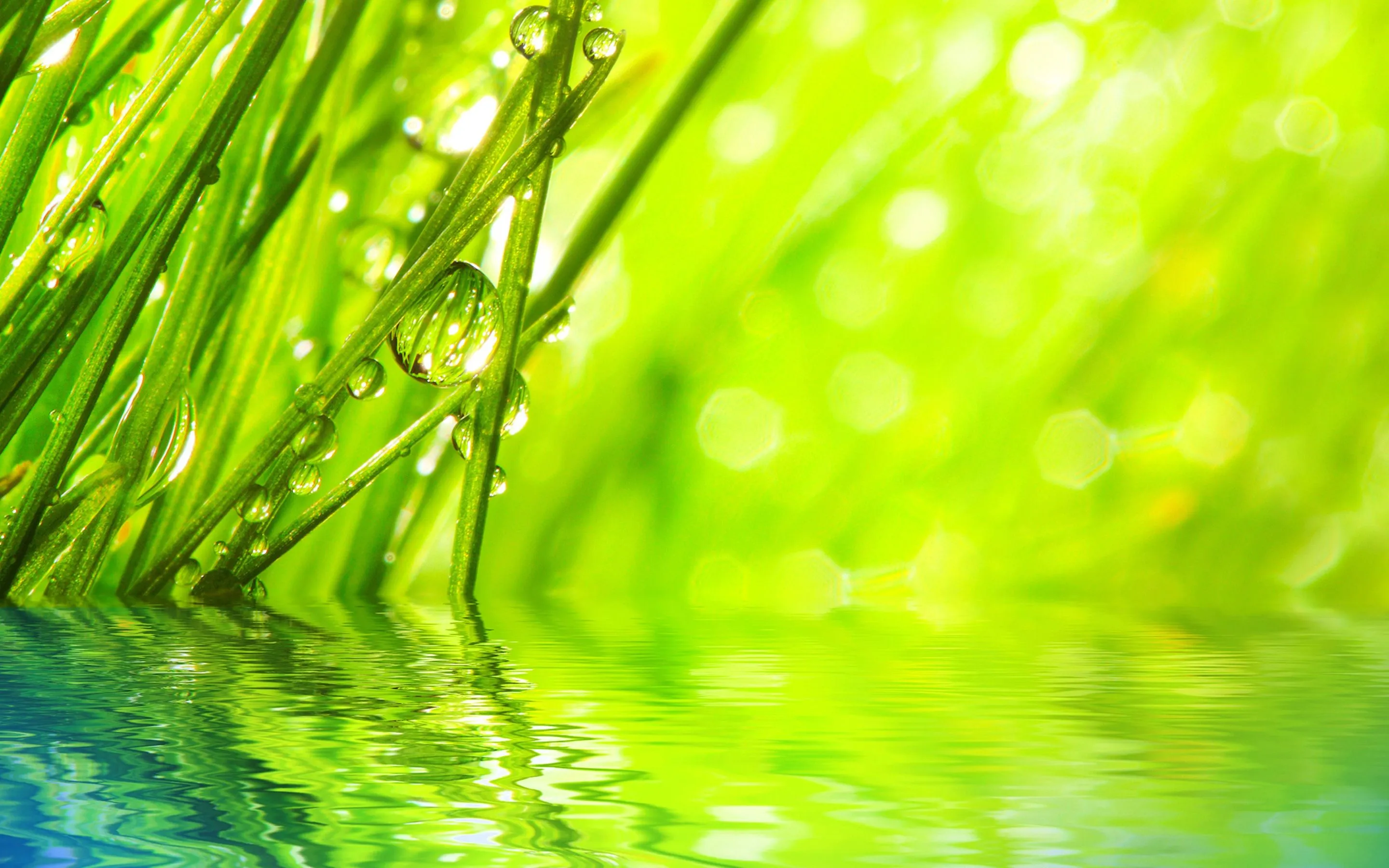 Gota De Agua Fondos de pantalla, Fondos de escritorio | 2880x1800 ... Gota De Agua Fondos de pantalla, Fondos de escritorio | 2880x1800 ...