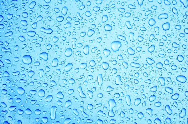 gotas de agua sobre fondo azul — Foto stock © Alexis84 #22200193
