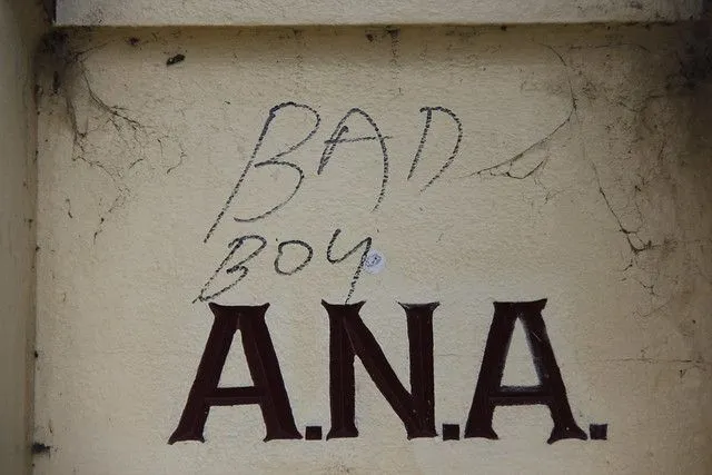 graffiti on ANA sign Maryborough _0498 | Flickr - Photo Sharing! graffiti on ANA sign Maryborough _0498 | Flickr - Photo Sharing!