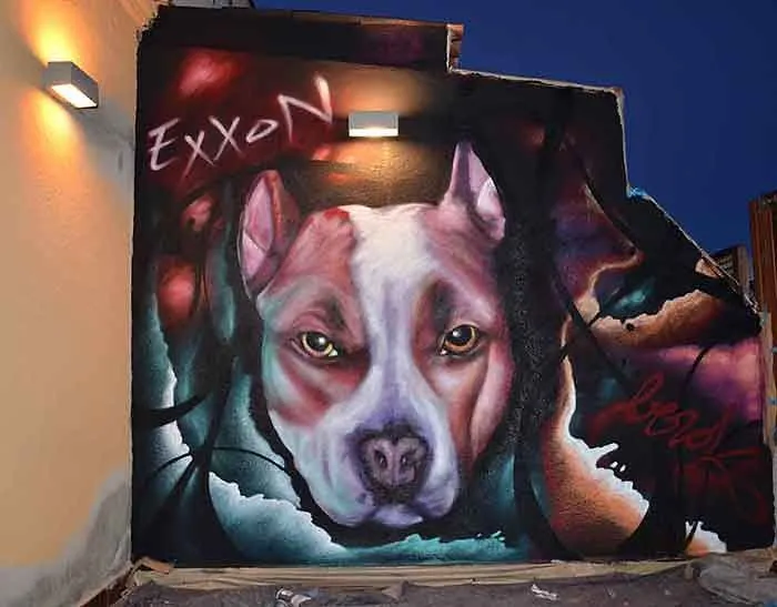 Graffitis de pitbulls - Imagui