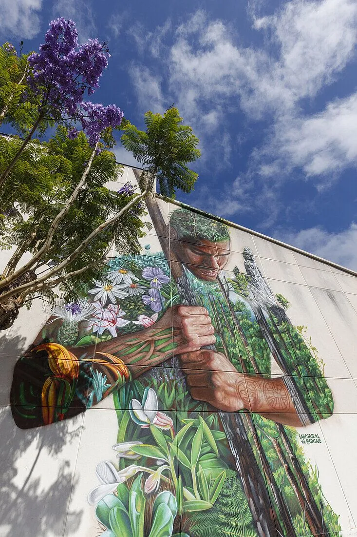 Graffiti Tanausu, mural by Matias Mata, … – License image – 71213828 ❘ Image Professionals Graffiti Tanausu, mural by Matias Mata, … – License image – 71213828 ❘ Image Professionals