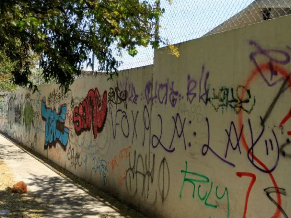 Los graffitis se apoderan de El Colli: vecinos | El Informador
