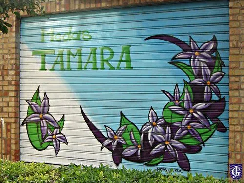Graffitis Modas Tamara - JerezSiempre, Monumentos, Historia ...