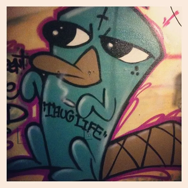 Graffitis de Perry - Imagui