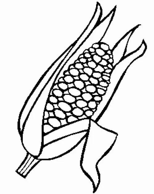 Plantas de maiz para dibujar - Imagui