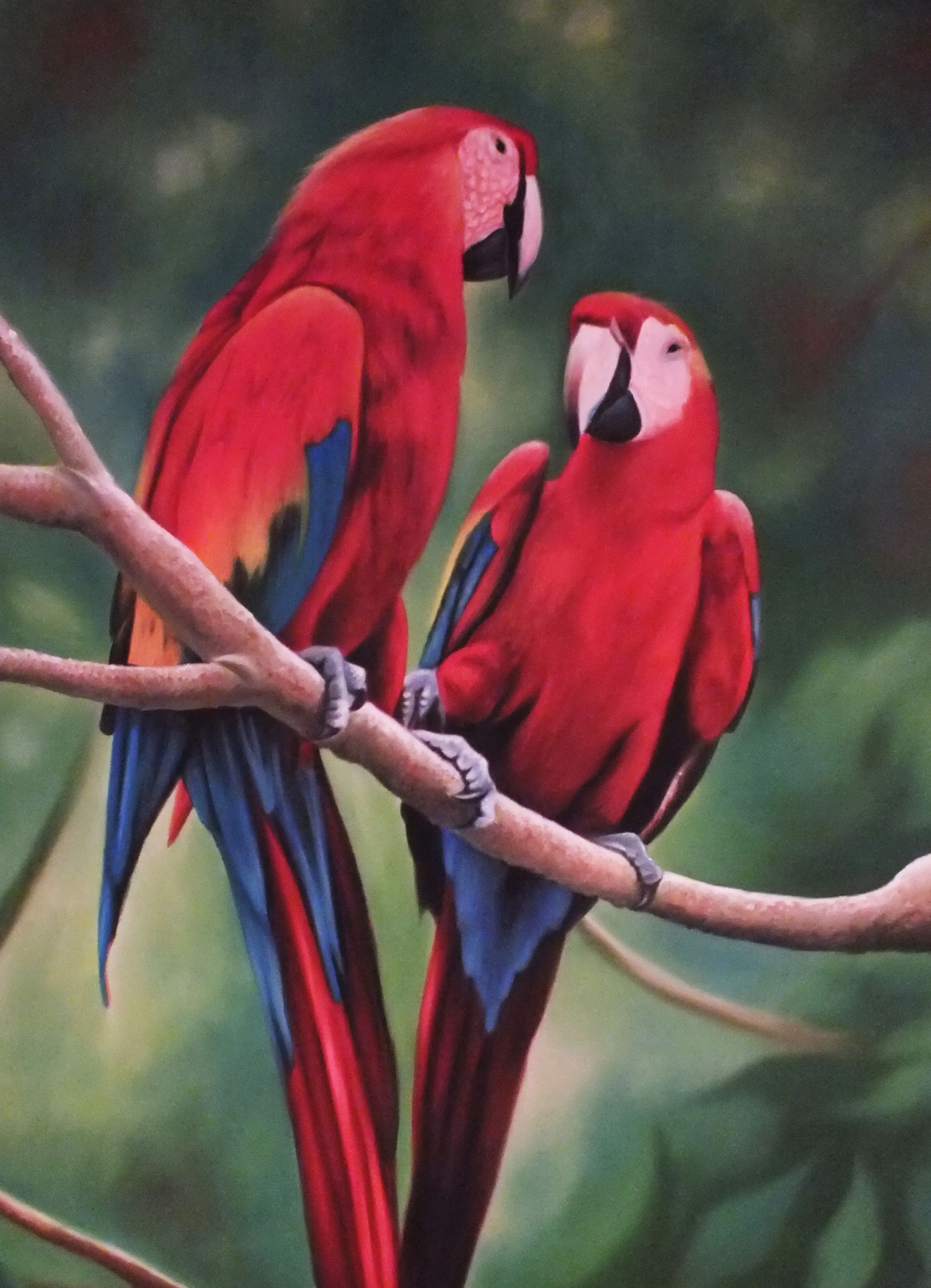 Guacamayas by JesusCamacho on DeviantArt Guacamayas by JesusCamacho on DeviantArt