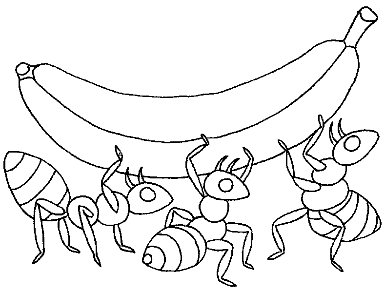 Dibujos faciles de hormigas - Imagui