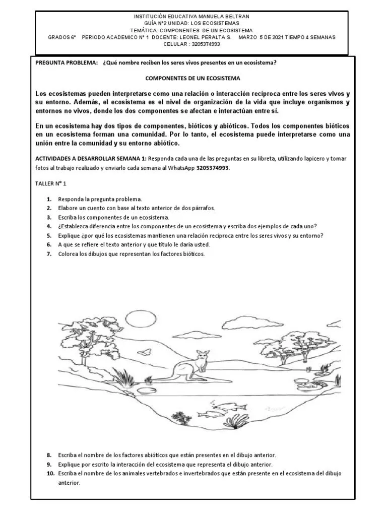 Guía #2 Educación Ambiental Grado 6° Periodo 1 2021 | PDF | Ecosistema |  Plantas