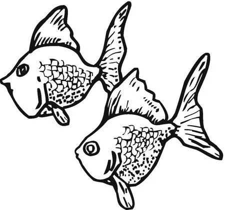 Como dibujar un pez Dorado - Imagui