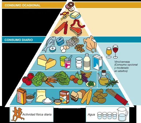 Nueva “Guía Alimentaria” (pirámide SENC) en construcción: cambiar ...