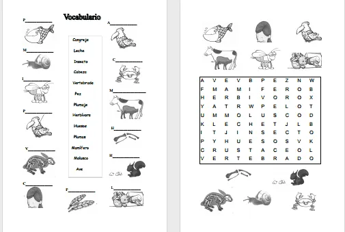 Fichas de animales vertebrados e invertebrados para colorear - Imagui