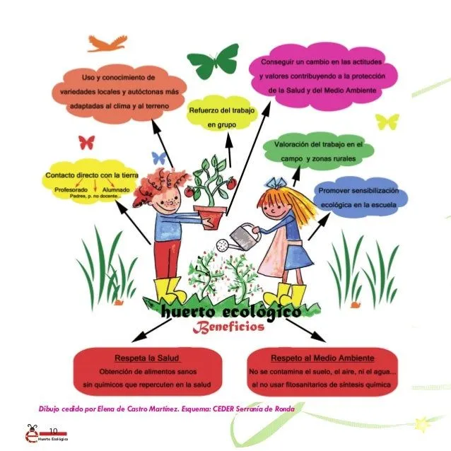 Guía básica. nuestro huerto escolar ecológico