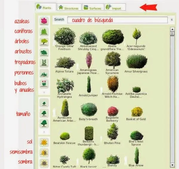 Los nombres de las planta en inglés - Imagui