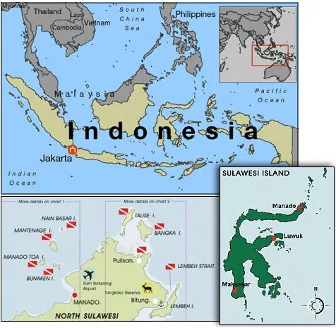 Guia de viajes: INDONESIA