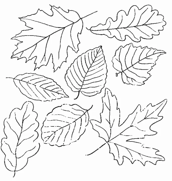 Guirnalda de Hojas de Otoño con Patrones Colorear para Imprimir – Manualidades Gratis Guirnalda de Hojas de Otoño con Patrones Colorear para Imprimir – Manualidades Gratis