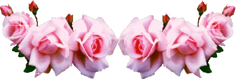 guirnalda de rosas rosadas