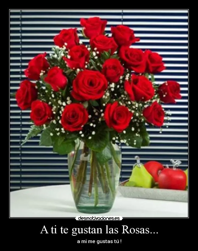 A ti te gustan las Rosas... | Desmotivaciones A ti te gustan las Rosas... | Desmotivaciones