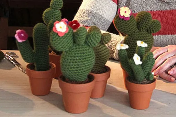 Hacelo vos misma: cactus de crochet - Revista OHLALÁ! - Revista ...