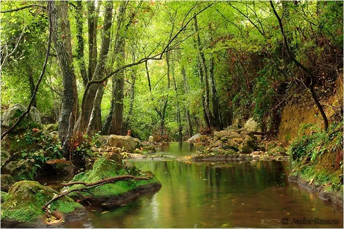 hadas son seres mitologicos que habitan en gran parte de los bosques ... hadas son seres mitologicos que habitan en gran parte de los bosques ...