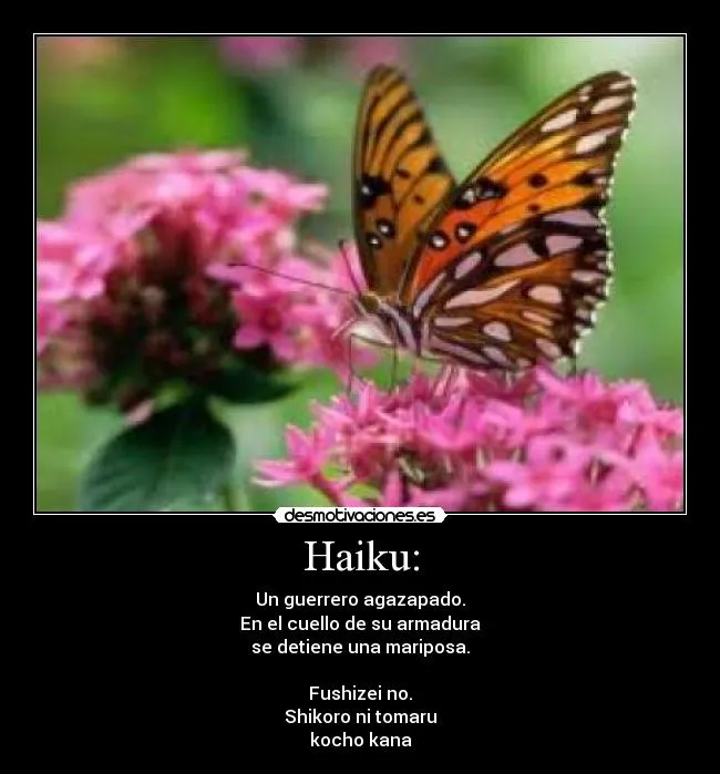 Haiku: | Desmotivaciones