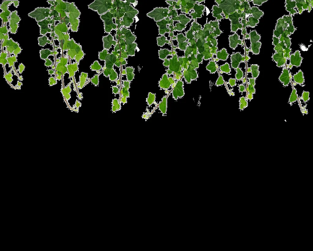 Hanging Vines Png by Moonglowlilly on DeviantArt Hanging Vines Png by Moonglowlilly on DeviantArt