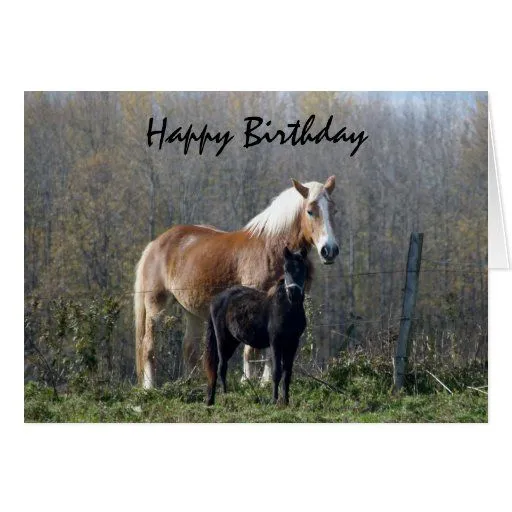 Happy Birthday Horses Greeting Card | Zazzle