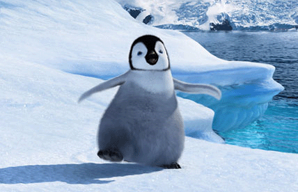 Pingüinos tiernos - Imagui