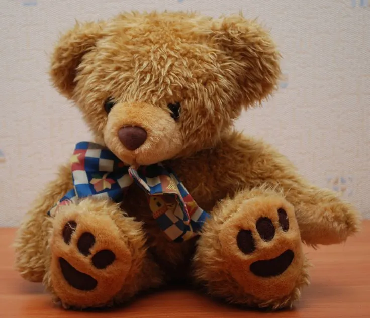Teddy Bear: El clasico Osito, no se si el oso se llamaba Teddy ...