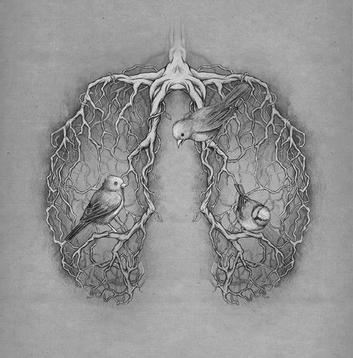 Her lungs were an arboretum...