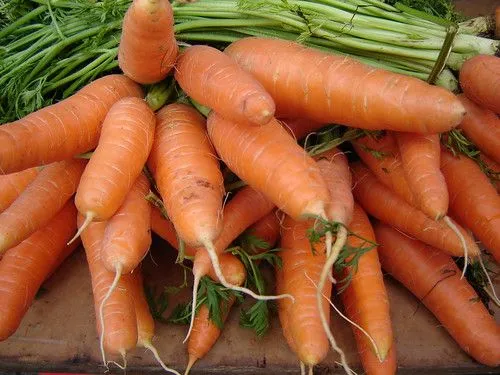 La Herbloguistería: Zanahoria