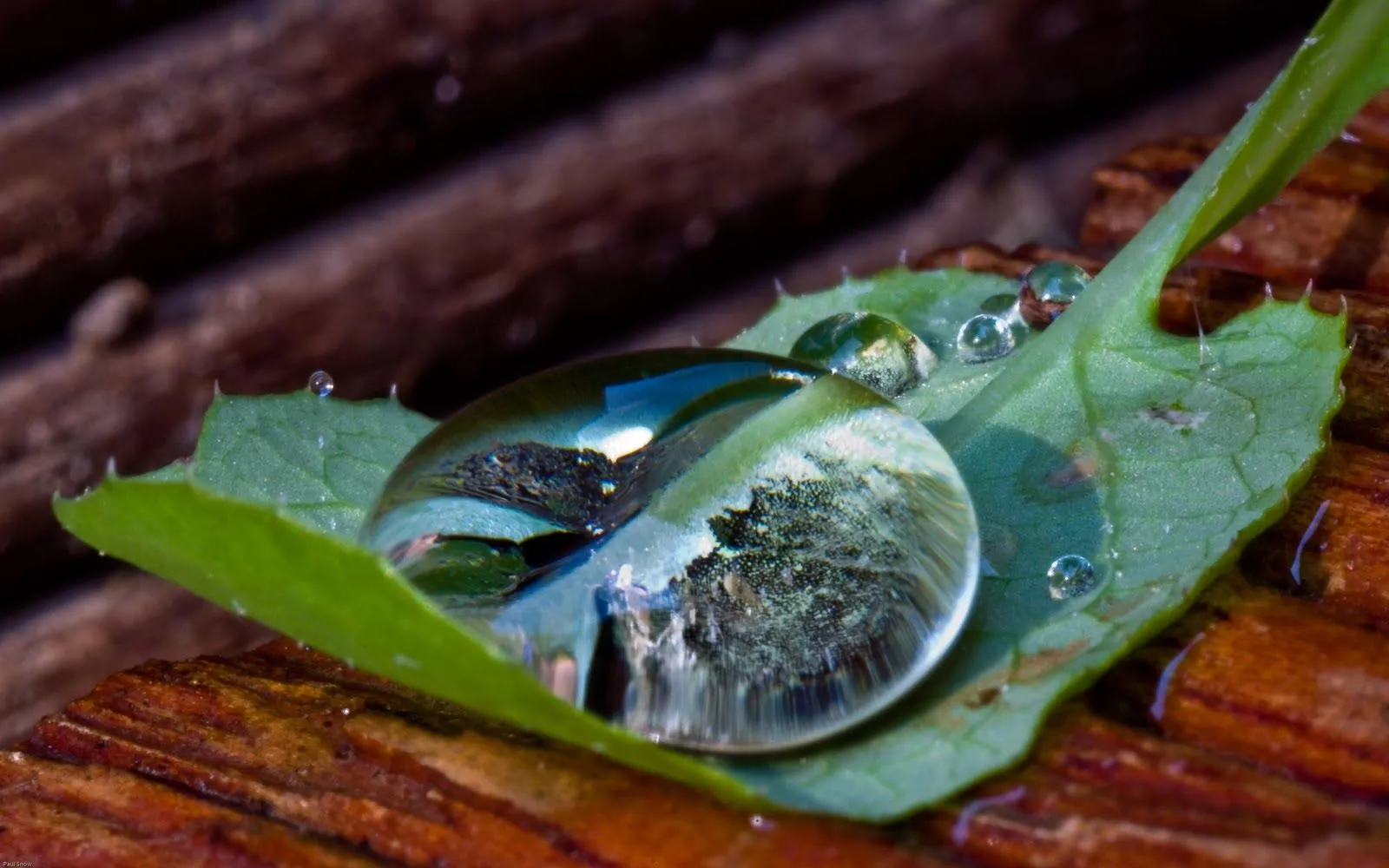 Hermosas Gotas de Agua en HD - Waterdrops HQ Images | FOTOBLOG X
