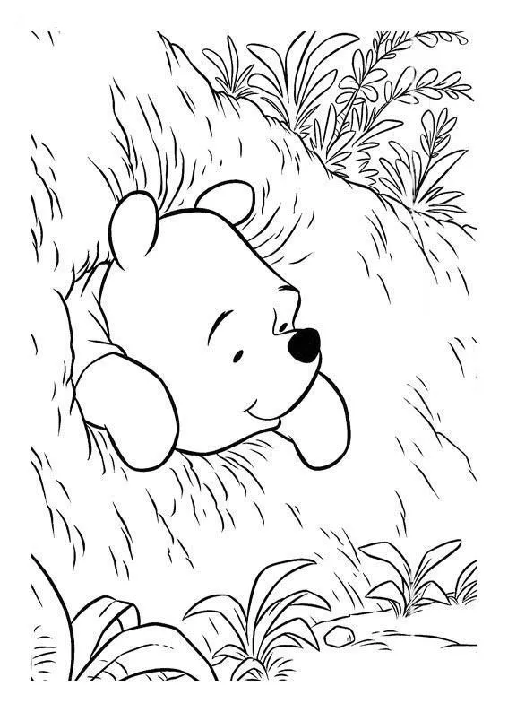 Hermosas Imagenes de Winnie Pooh Para Colorear « Ideas & Consejos ...