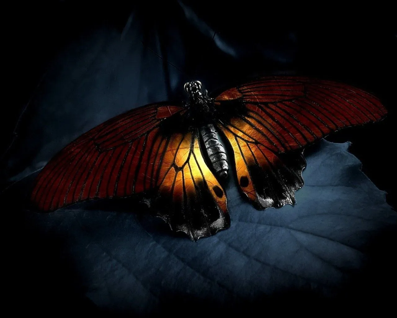 Hermosas Mariposas en la Naturaleza | Fotos e Imágenes en FOTOBLOG X Hermosas Mariposas en la Naturaleza | Fotos e Imágenes en FOTOBLOG X